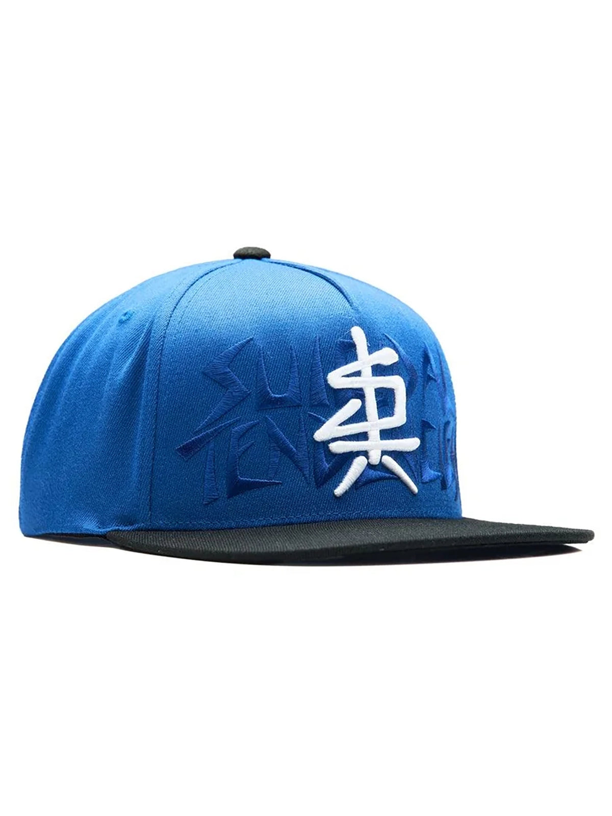 Sullen x Suicidal Tendencies ST Blastover Snapback Hat - Blue / Black
