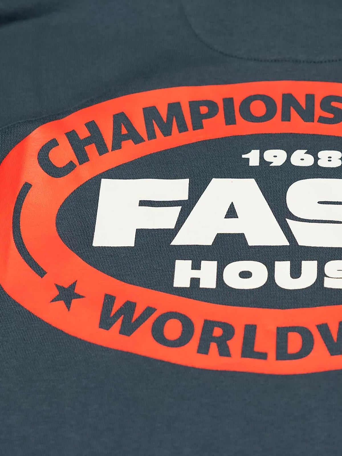 Fasthouse Men's Petrol Pullover Hoodie in Indigo, close-up of the back graphic